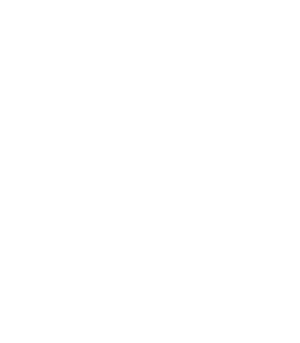 posh boutique